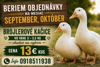 BROJLEROVÁ KAČICA váha 3 kg